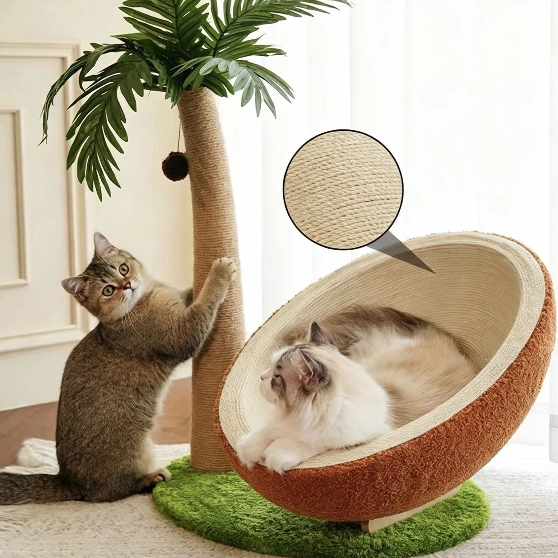 Pet Beds
