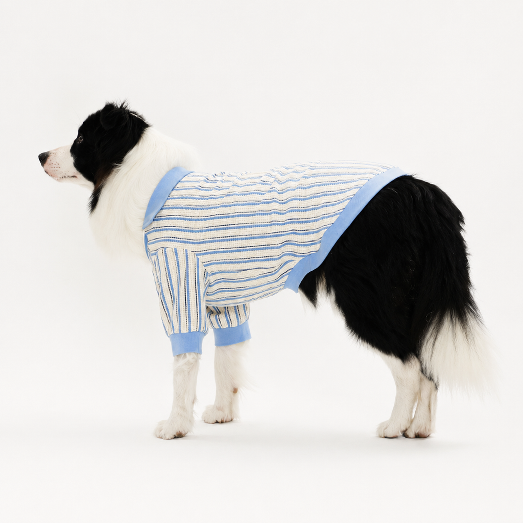 Striped Dog T-Shirt – Classic Long-Sleeve Basic Shirt for Everyday Wear | HoppePet