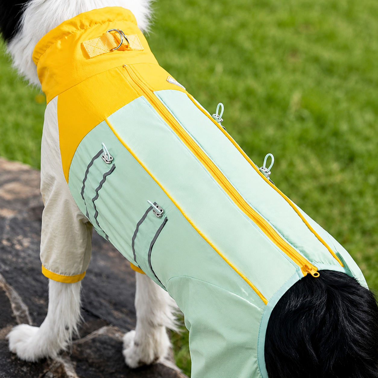 UPF 50+ Dog Sun Protection Suit – Full-Body UV & Bug Barrier Jumpsuit for Medium & Large Dogs | HoppePet
