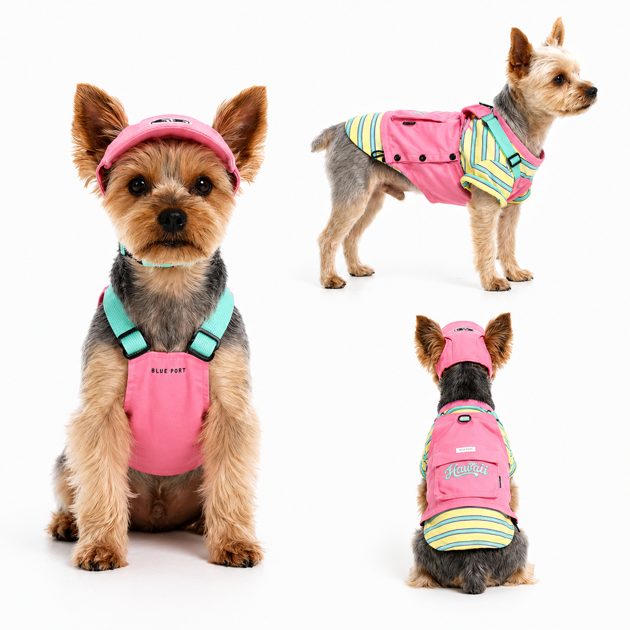 Retro Striped Dog Harness Vest – Colorblock Streetwear for Small Dogs | HoppePet