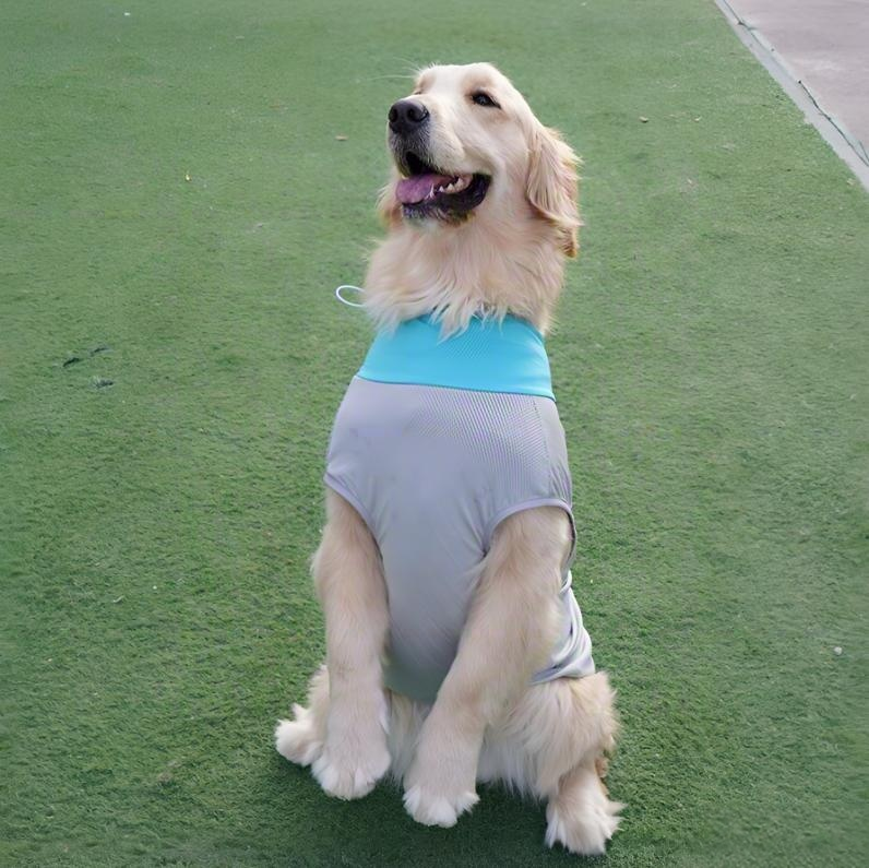 Mesh Breathable Dog Vest – Lightweight Summer Tank for Active Dogs | HoppePet