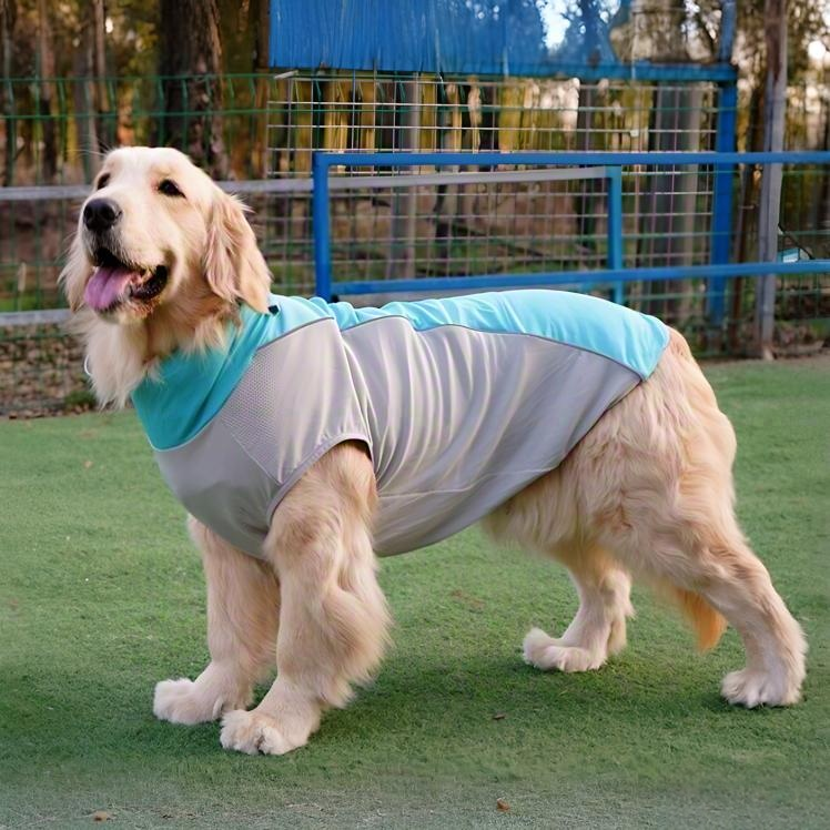 Mesh Breathable Dog Vest – Lightweight Summer Tank for Active Dogs | HoppePet