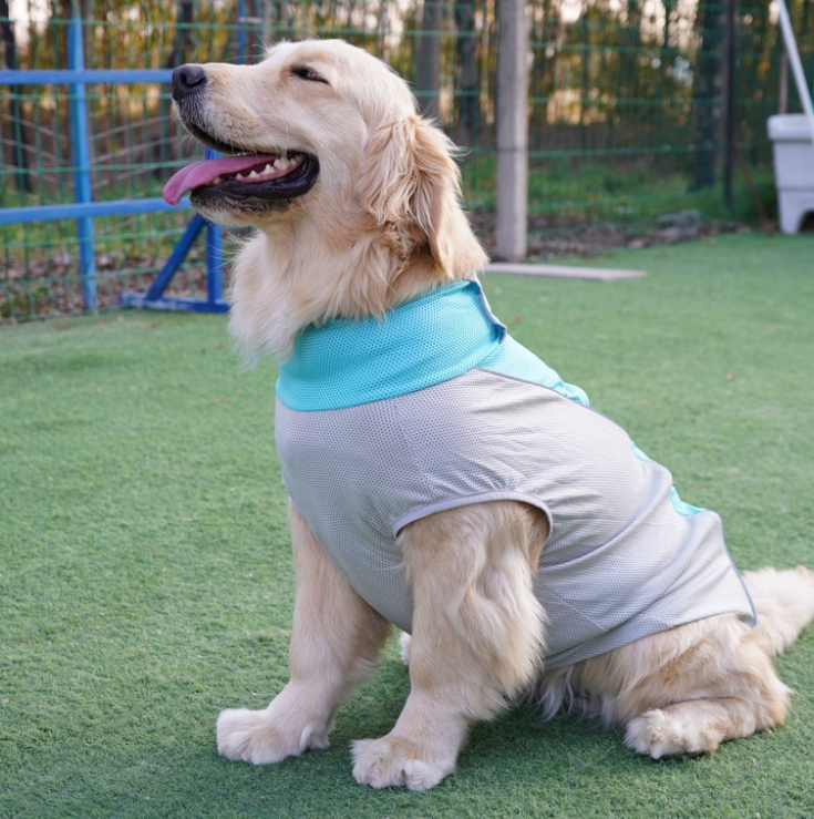 Mesh Breathable Dog Vest – Lightweight Summer Tank for Active Dogs | HoppePet