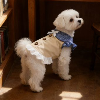 Elegant Sailor Dog Dress – Vintage Preppy Ruffle Dress for Small Dogs | HoppePet
