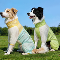 UPF 50+ Dog Sun Protection Suit – Full-Body UV & Bug Barrier Jumpsuit for Medium & Large Dogs | HoppePet