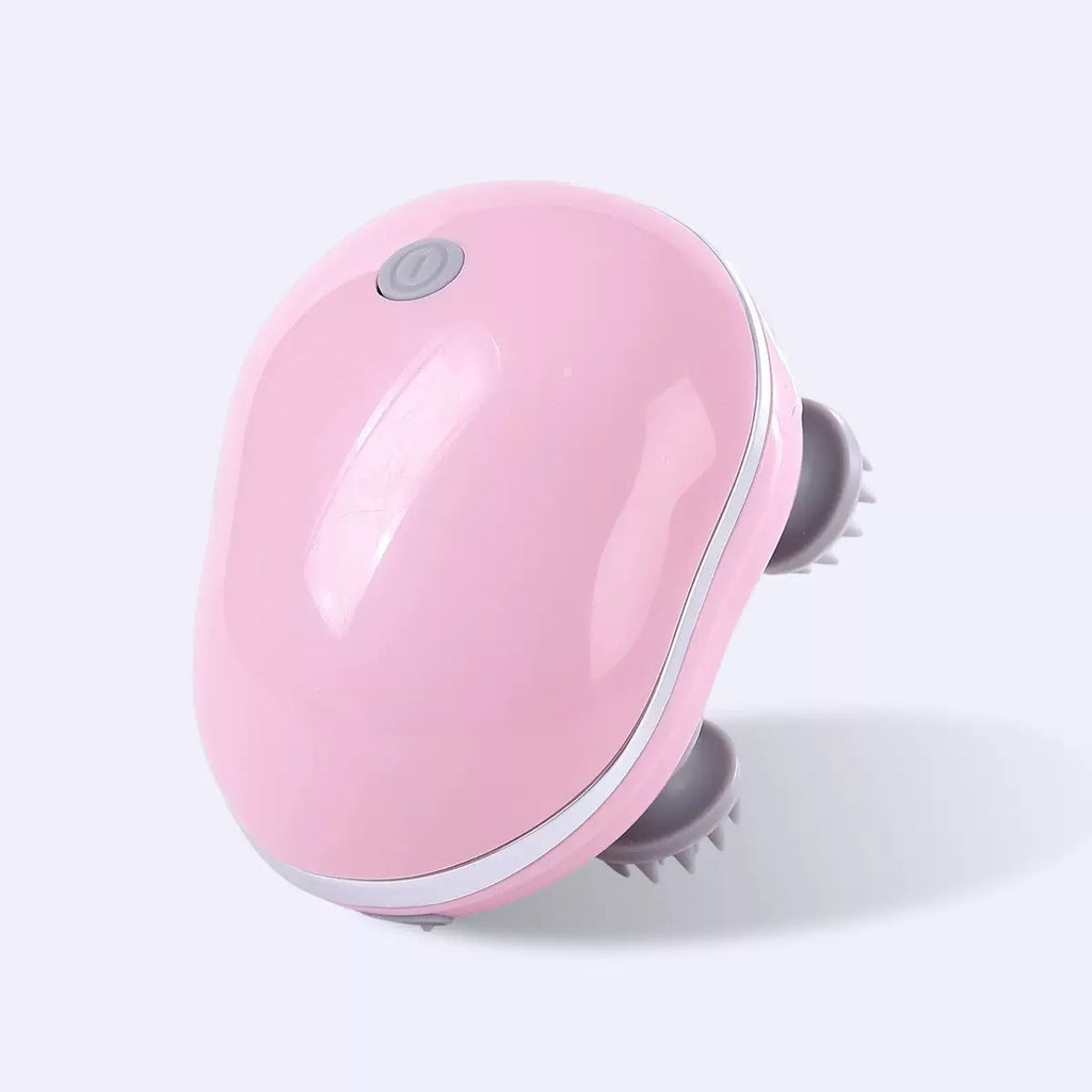 Pet Massager