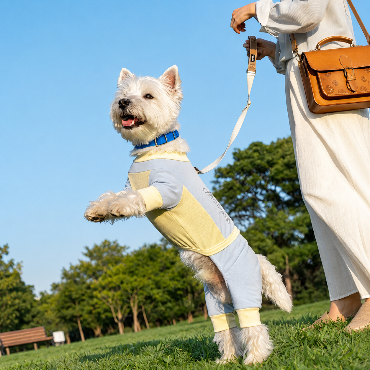 UV Protection Dog Sun Suit – Full-Body Breathable Mesh Jumpsuit with Bug & Sand Protection | HoppePet