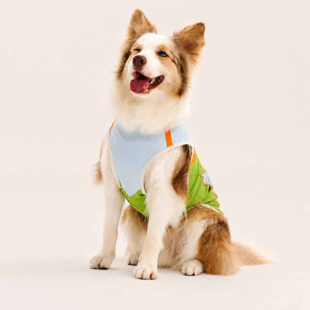 UPF 50+ Dog Cooling Shirt – Breathable Sun Protection Sports Vest for Everyday Wear | HoppePet
