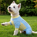 UV Protection Dog Sun Suit – Full-Body Breathable Mesh Jumpsuit with Bug & Sand Protection | HoppePet