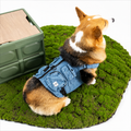Denim Dog Harness Vest – Adventure Utility Jacket with D-Ring | HoppePet