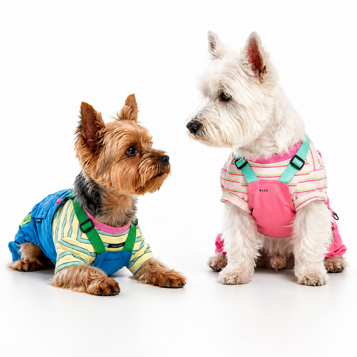 Retro Striped Dog Harness Vest – Colorblock Streetwear for Small Dogs | HoppePet