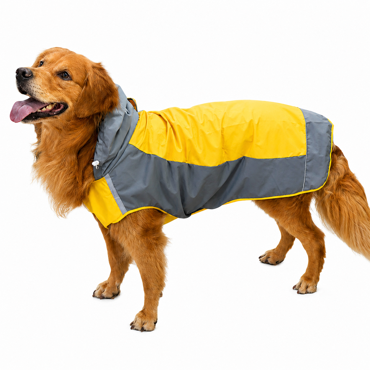 Waterproof Dog Raincoat with Hood – Hooded Rain Jacket for Large & Fluffy Dogs | HoppePet