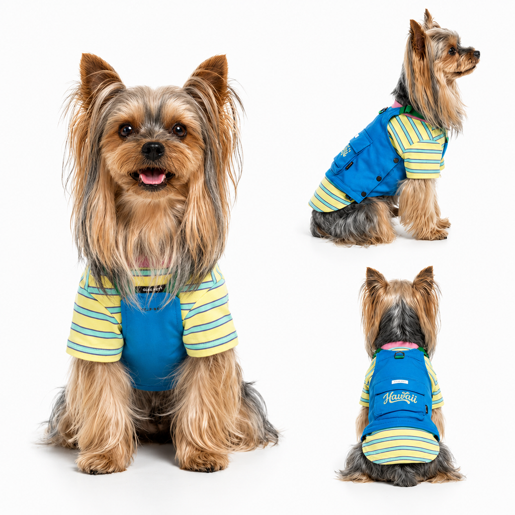 Retro Striped Dog Harness Vest – Colorblock Streetwear for Small Dogs | HoppePet