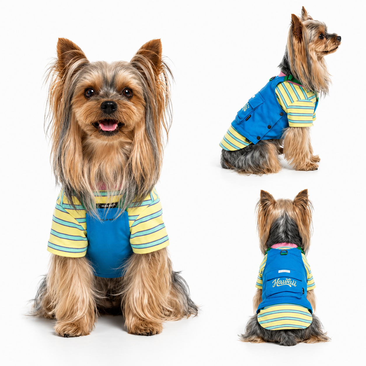 Retro Striped Dog Harness Vest – Colorblock Streetwear for Small Dogs | HoppePet
