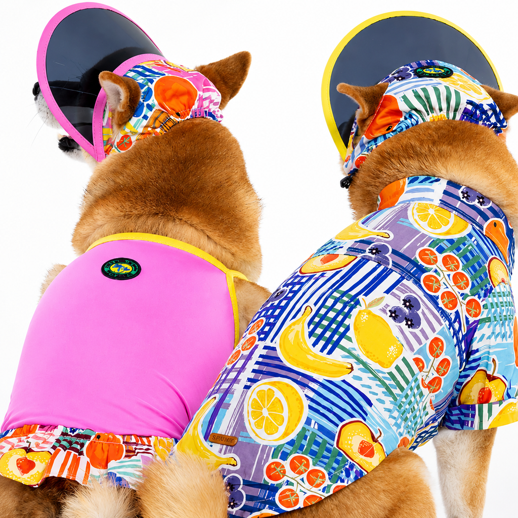Pet Sun Visor Hat for Dogs & Cats – Waterproof Wide-Brim Beach Hat with Adjustable Strap | HoppePet