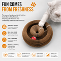 Expandable Honeycomb Cat Scratcher Toy – Foldable Corrugated Cardboard Scratch Pad for Indoor Cats