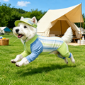 Dog Sun Protection Shirt & Bucket Hat Set – Matching Summer Outfit for Outdoor Adventures | HoppePet