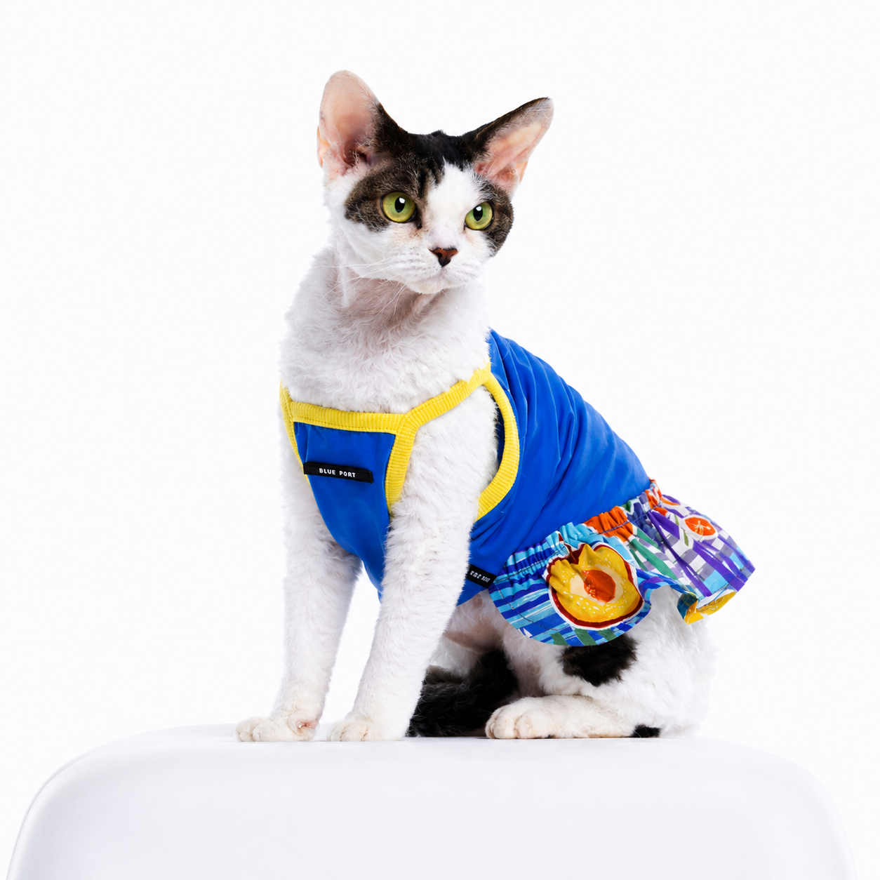 Floral Summer Pet Dress for Dogs & Cats – Stretchy Spring Dress with Colorful Bloom Print | HoppePet