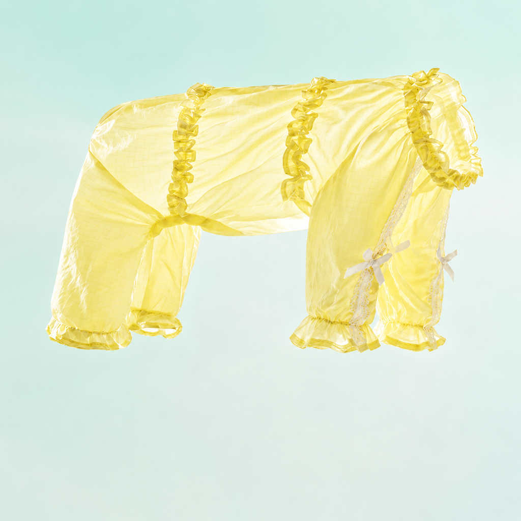 Ballet-Style Dog Sun Protection Suit – Cute Full-Body Pastel Onesie for Small Dogs | HoppePet