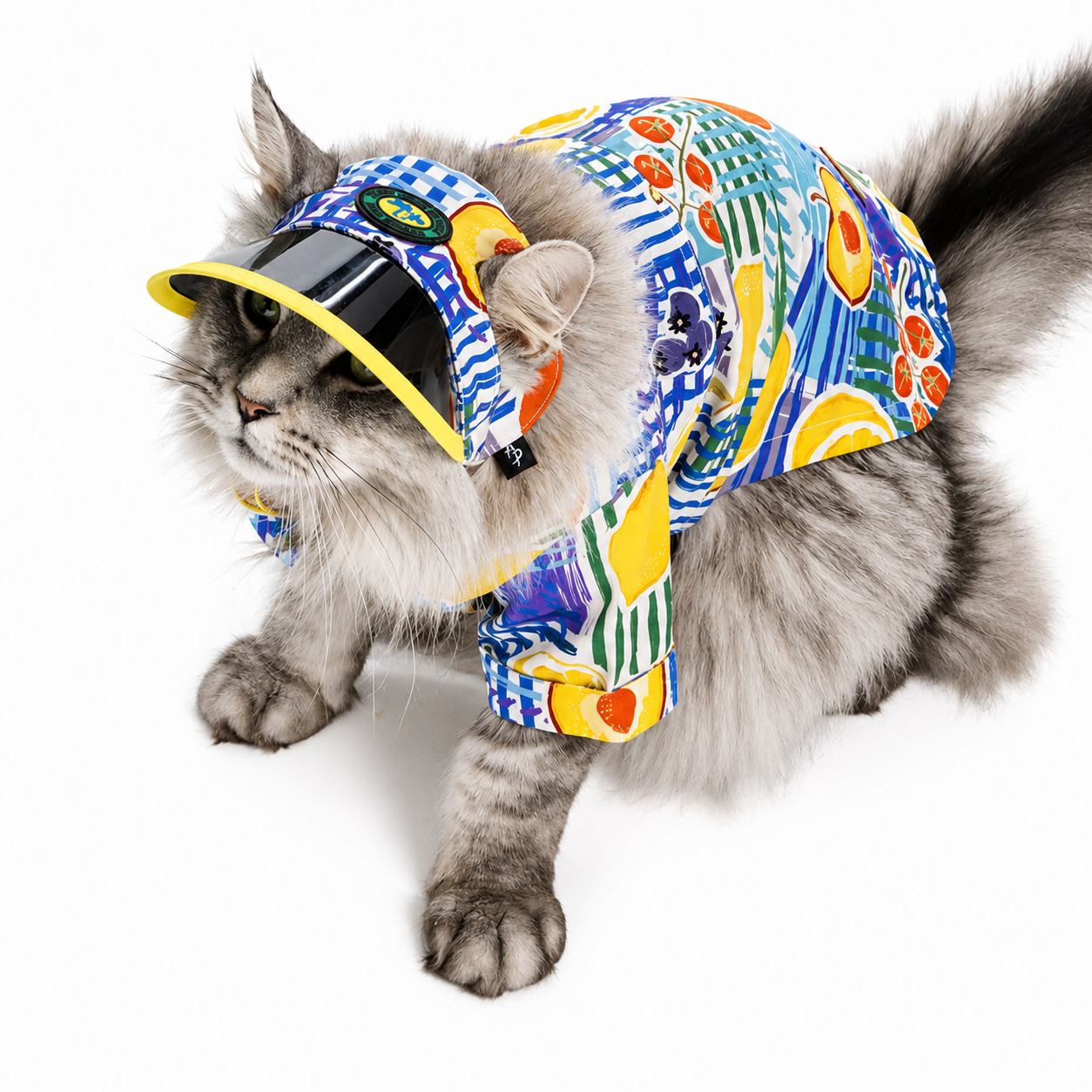 Citrus Hawaiian Shirt for Dogs & Cats – Tropical Summer Beach Shirt with Button-Up Design | HoppePet