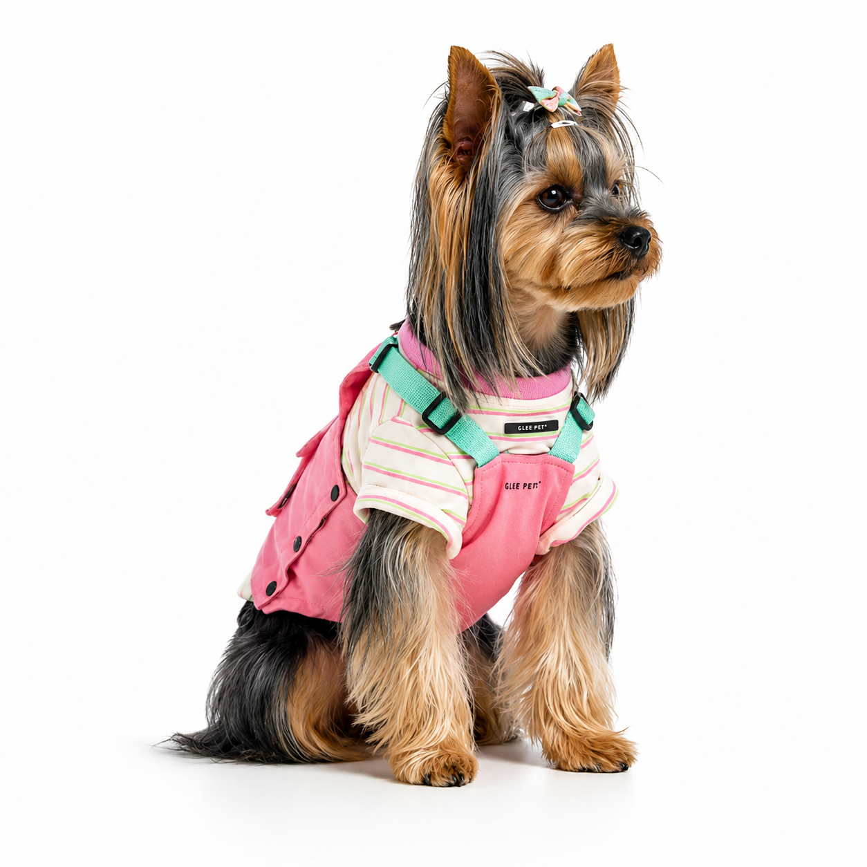 Retro Striped Dog Harness Vest – Colorblock Streetwear for Small Dogs | HoppePet