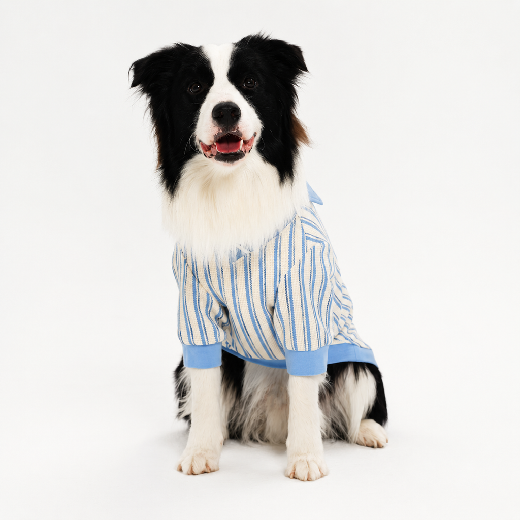 Striped Dog T-Shirt – Classic Long-Sleeve Basic Shirt for Everyday Wear | HoppePet