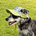 Dog Sun Protection Shirt & Bucket Hat Set – Matching Summer Outfit for Outdoor Adventures | HoppePet