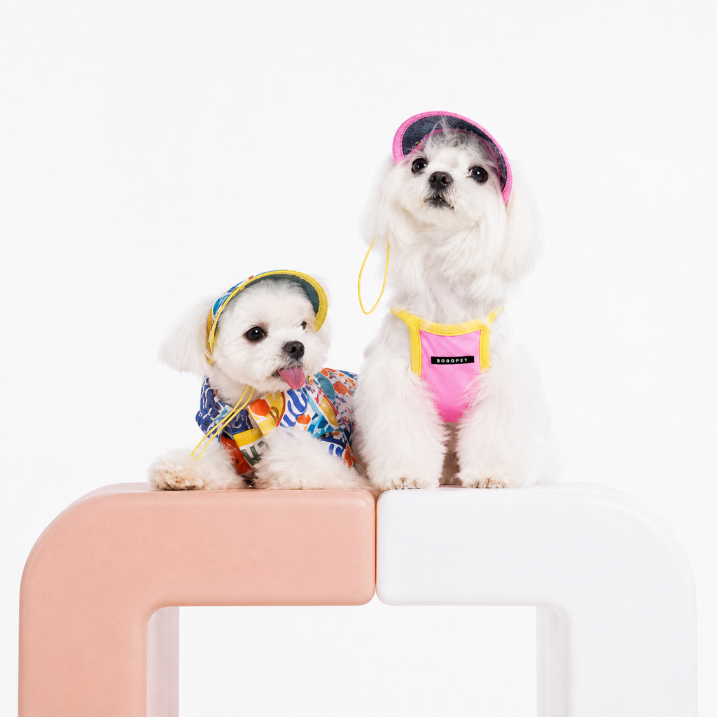 Pet Sun Visor Hat for Dogs & Cats – Waterproof Wide-Brim Beach Hat with Adjustable Strap | HoppePet