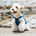 Denim Dog Harness Vest – Adventure Utility Jacket with D-Ring | HoppePet