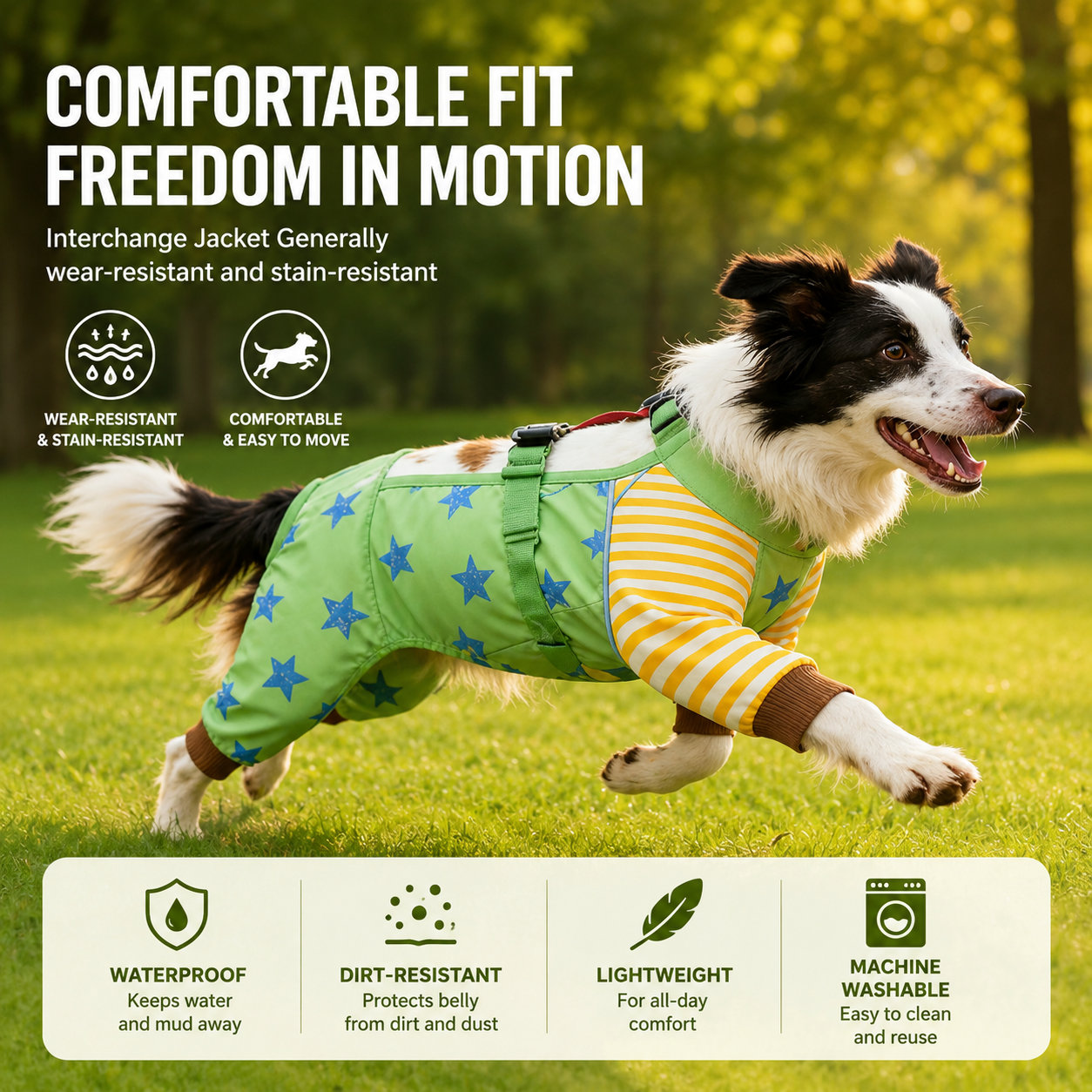 Waterproof Dog Jumpsuit – Full-Body Mud Suit for Medium & Large Dogs with Leash-Friendly Collar | HoppePet