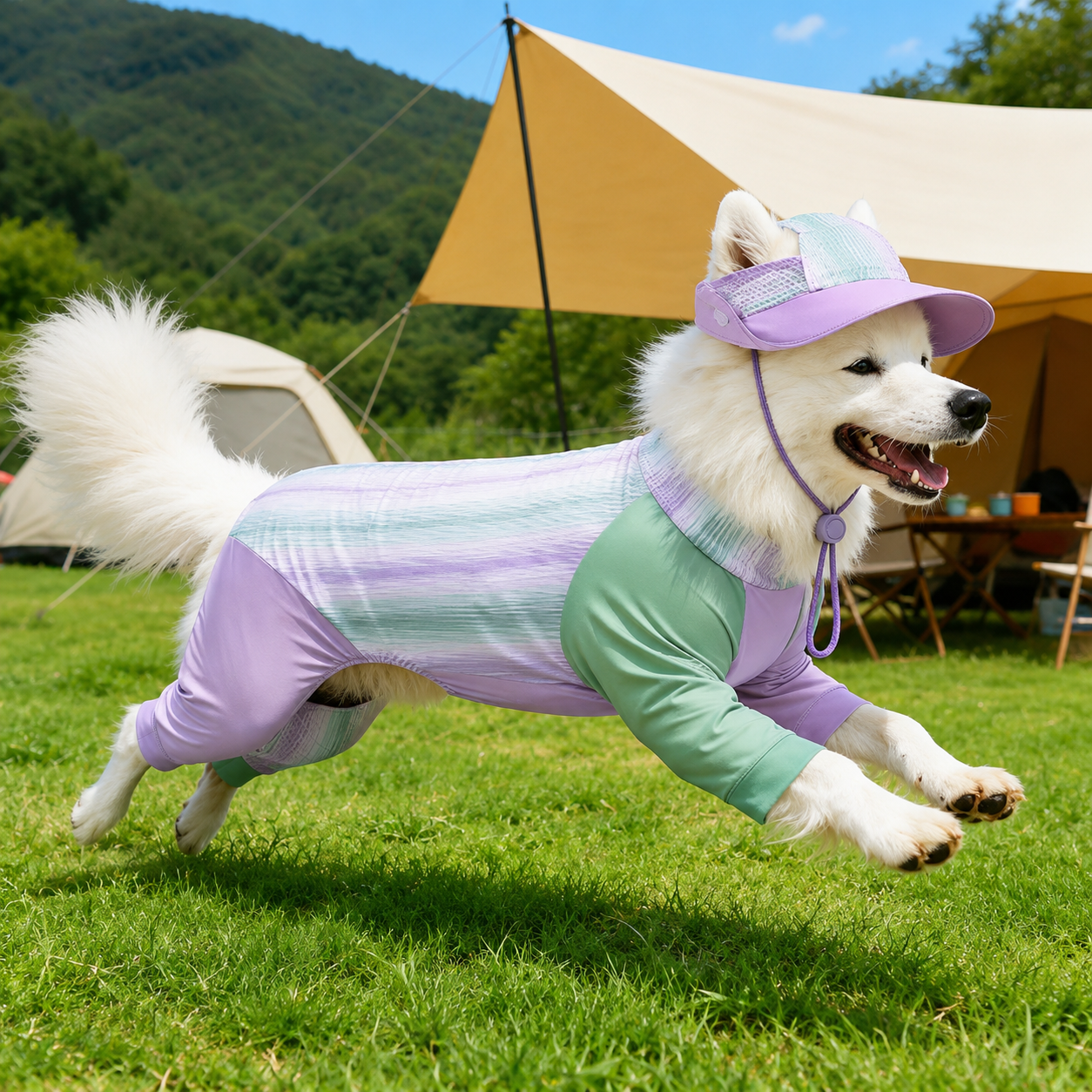 Dog Sun Protection Shirt & Bucket Hat Set – Matching Summer Outfit for Outdoor Adventures | HoppePet