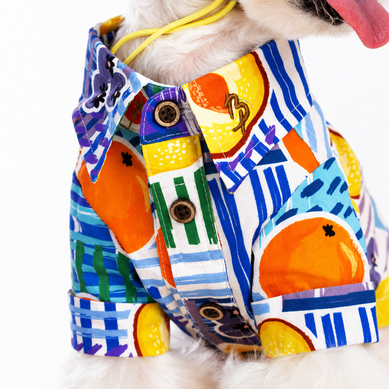 Citrus Hawaiian Shirt for Dogs & Cats – Tropical Summer Beach Shirt with Button-Up Design | HoppePet