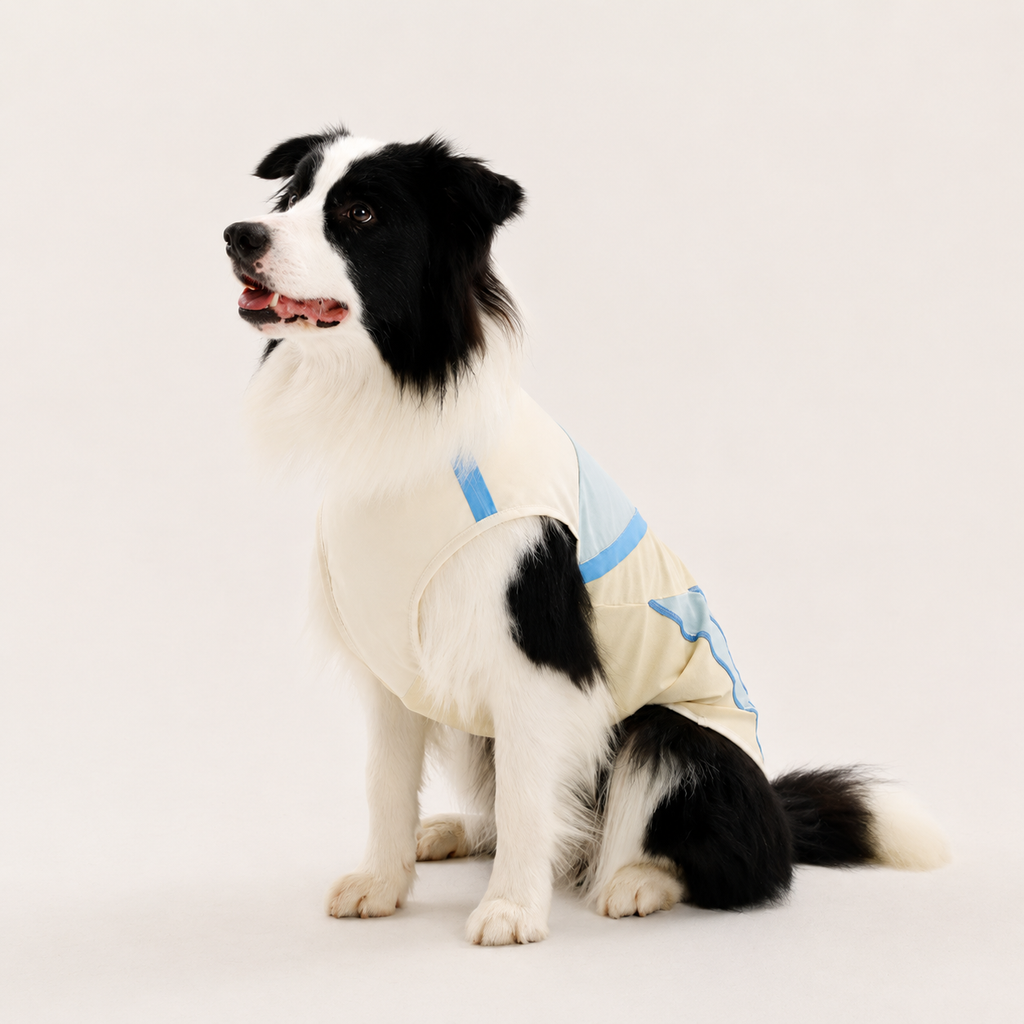 UPF 50+ Dog Cooling Shirt – Breathable Sun Protection Sports Vest for Everyday Wear | HoppePet