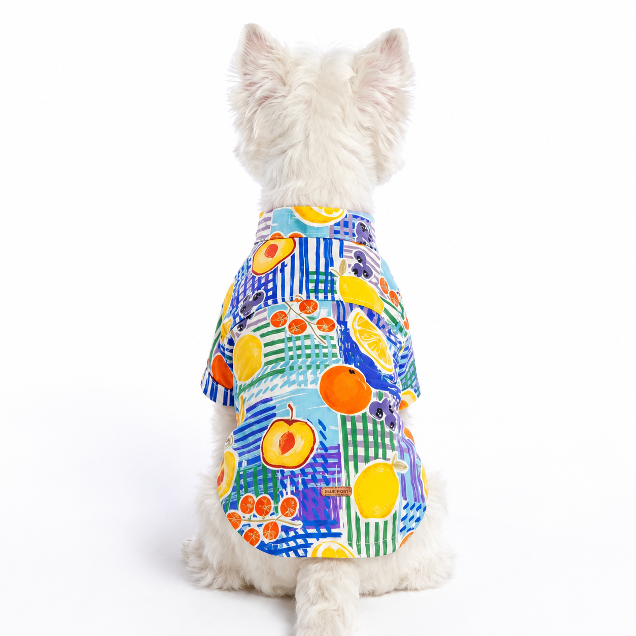 Citrus Hawaiian Shirt for Dogs & Cats – Tropical Summer Beach Shirt with Button-Up Design | HoppePet